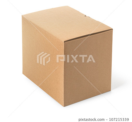 One closed cardboard Box 107215339