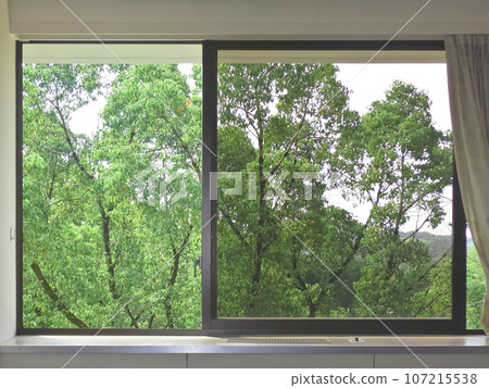 從飯店窗外看到的清新綠色景色 107215538
