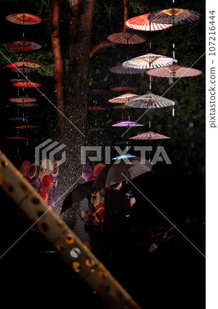 月燈花迴廊（雨中） 107216444