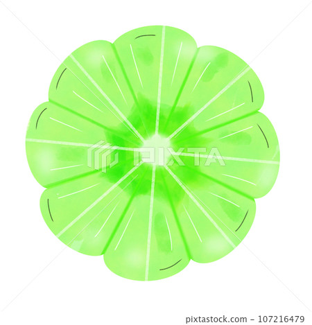 abstract green leaf with pattern abstract green leaf with pattern 107216479