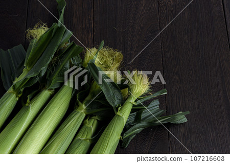Baby cone Baby cone 107216608