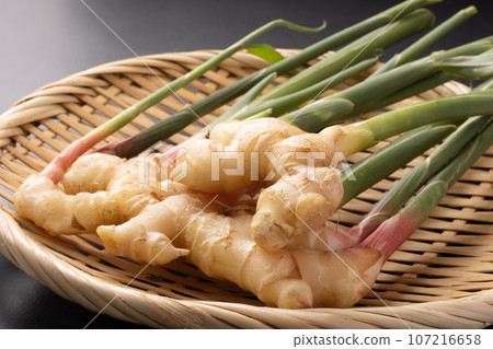 New ginger ginger New ginger ginger 107216658