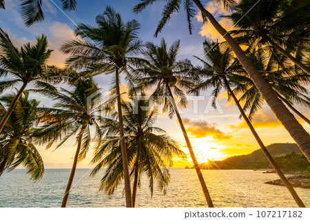 Landscape wide angle view coconut palm trees in sunset or sunrise sky over sea,Beautiful light nature seascape nature background Landscape wide angle view coconut palm trees in sunset or sunrise sky over sea,Beautiful light nature seascape nature background 107217182