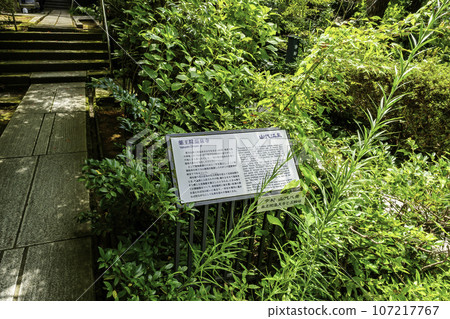 Yamashiro Onsen Yakuoin Onsenji Temple History Book Kaga City, Ishikawa Prefecture 107217767