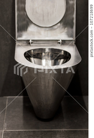 stainless steel toilet 107218699