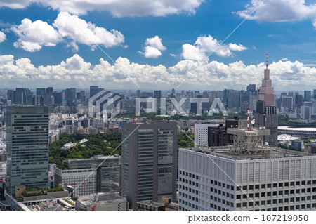 << Tokyo >> Tokyo cityscape in the summer sky 107219050
