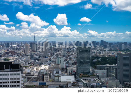 《東京》夏日的天空中的東京城市景觀 《東京》夏日的天空中的東京城市景觀 107219059