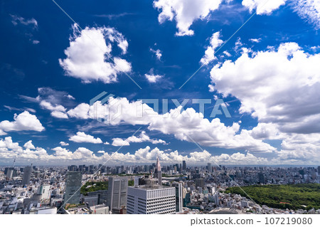 《東京》夏日的天空中的東京城市景觀 《東京》夏日的天空中的東京城市景觀 107219080