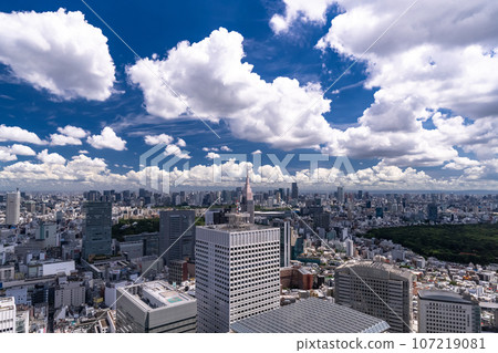 《東京》夏日的天空中的東京城市景觀 107219081
