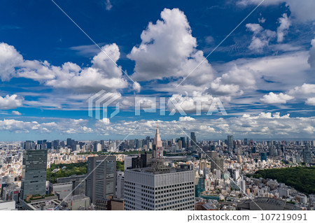 《東京》夏日的天空中的東京城市景觀 107219091