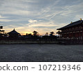 Sunset and Kofukuji Temple 107219346