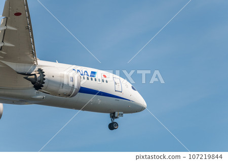 [ANA aircraft in preparation for landing from the sky above Jonanjima Seaside Park] 107219844