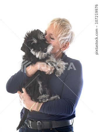 miniature schnauzer and woman in studio miniature schnauzer and woman in studio 107219976