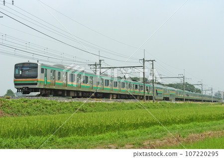 Tohoku Main Line Hasuda - Higashi Omiya JR East E231 series 1000 series U519 formation (Oyama) 107220295