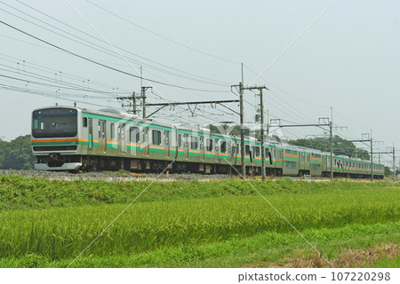 Tohoku Main Line Hasuda - Higashi Omiya JR East E231 series 1000 series U533 formation (Oyama) 107220298