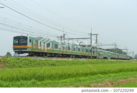 Tohoku Main Line Hasuda - Higashi Omiya JR East E231 series 1000 series U537 formation (Oyama) 107220299