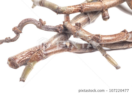 Dry twigs, sticks and branches of exotic plants Isolated on White. 107220477