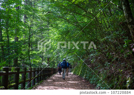 水山治療之路與登山者(東京都西多摩區日野原村) 水山治療之路與登山者(東京都西多摩區日野原村) 107220884