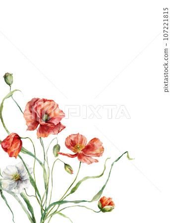 Watercolor meadow flowers border of white and red poppies. Hand painted floral illustration isolated on white background. Bouquet for design, print, fabric or background. Poster for interior. Watercolor meadow flowers border of white and red poppies. Hand painted floral illustration isolated on white background. Bouquet for design, print, fabric or background. Poster for interior. 107221815