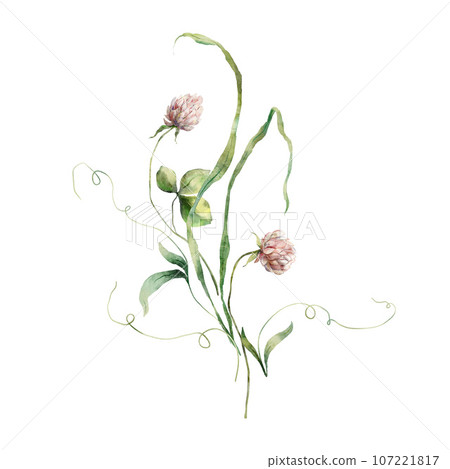Watercolor meadow flowers bouquet of pink clover and bud. Hand painted floral illustration isolated on white background. For design, print, fabric or background. Watercolor meadow flowers bouquet of pink clover and bud. Hand painted floral illustration isolated on white background. For design, print, fabric or background. 107221817