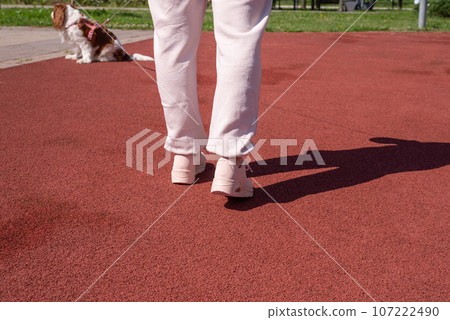 Woman and Cavalier Kind Charles Woman and Cavalier Kind Charles 107222490