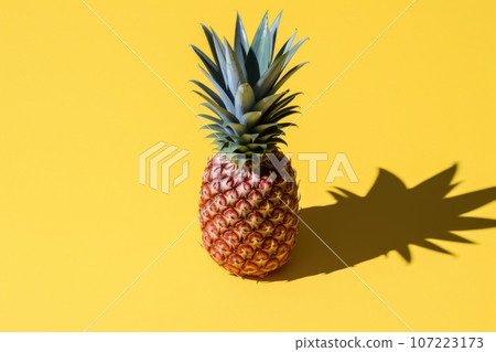 an isolated shot of a pineapple, casting a long shadow on the surface an isolated shot of a pineapple, casting a long shadow on the surface 107223173