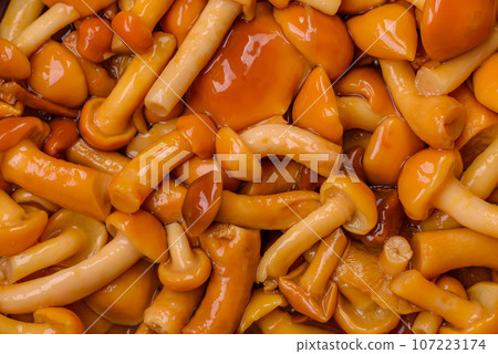 Delicious pickled honey mushrooms with salt and spices in a ceramic plate Delicious pickled honey mushrooms with salt and spices in a ceramic plate 107223174