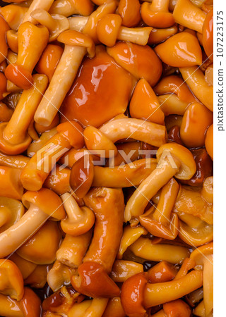 Delicious pickled honey mushrooms with salt and spices in a ceramic plate Delicious pickled honey mushrooms with salt and spices in a ceramic plate 107223175