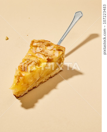 piece of apple cake 107223483