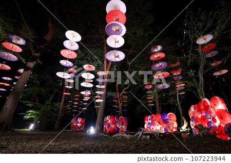 日光市鬼怒川溫泉Tsukikari花走廊 107223944