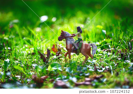horse figures and nature 107224152