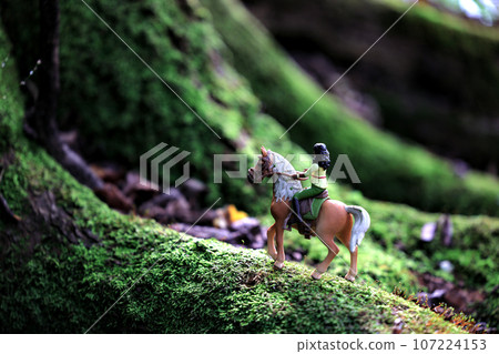 horse figures and nature 107224153