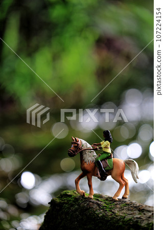horse figures and nature 107224154