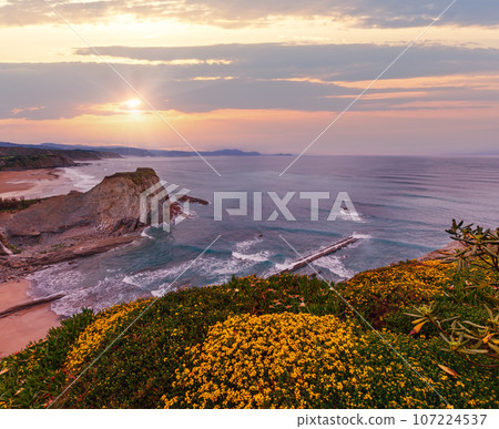 Spring sunset sea rocky coast landscape with small sandy beach  and yellow flowers in front. Arnia Beach, Spain, Atlantic Ocean. 107224537