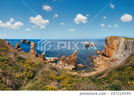Beautiful blossoming Atlantic Ocean coastline landscape with yellow flowers in front (near Arnia Beach, Biskaya, Cantabria, Spain). 107224540
