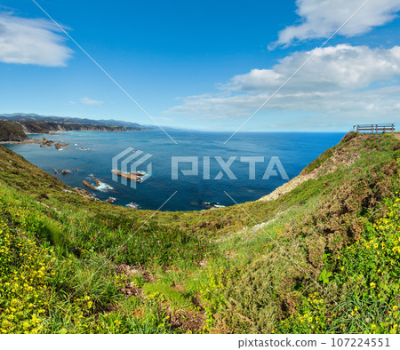 Summer blossoming Cape Vidio coastline landscape (Asturias coast, Cudillero, Spain). 107224551
