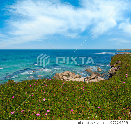 Summer blossoming Atlantic coastline (Galicia). Summer blossoming Atlantic coastline (Galicia). 107224559