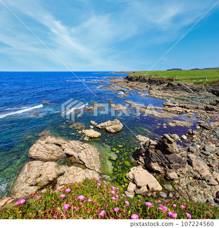 Atlantic blossoming coastline (Spain). 107224560