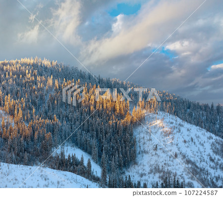 Evening winter Ukrainian Carpathian Mountains landscape. Evening winter Ukrainian Carpathian Mountains landscape. 107224587