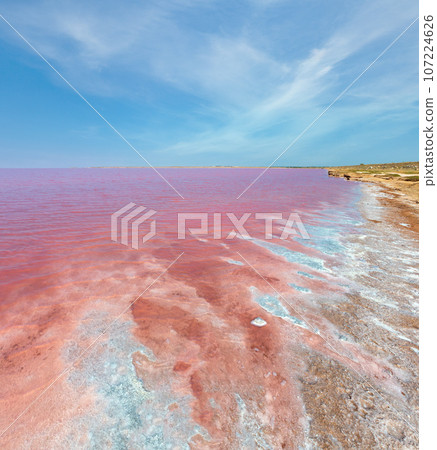Pink salty Syvash Lake, Ukraine 107224626