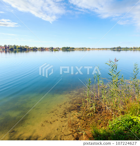 Summer lake calm rushy shore. 107224627
