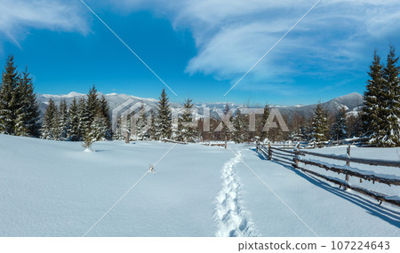 Winter morning Carpathian mountains, Ukraine 107224643