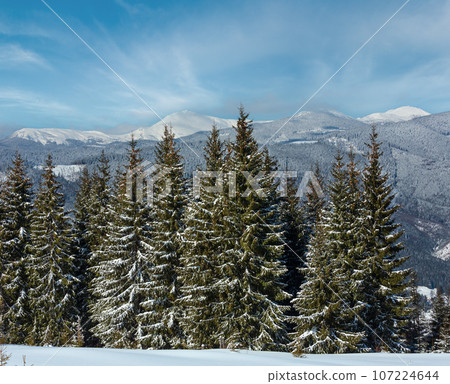 Winter snowy Carpathian mountains, Ukraine 107224644