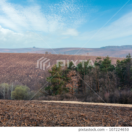 Spring morning arable and growth fields and countryside. 107224650