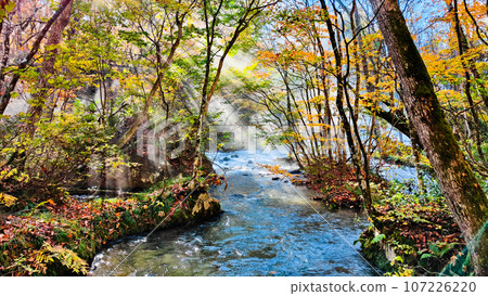 Oirase Stream (Autumn) Oirase Stream (Autumn) 107226220