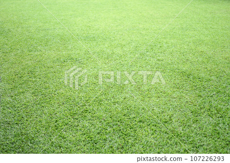 Fresh green malaysian grass smooth lawn on good maintenance in a garden Fresh green malaysian grass smooth lawn on good maintenance in a garden 107226293