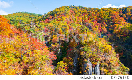 Naruko Gorge (autumn) 107226388