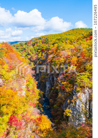 Naruko Gorge (autumn) 107226495