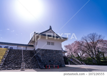 山形縣嘉城公園的山形城遺址東大手門和櫻花 山形縣嘉城公園的山形城遺址東大手門和櫻花 107226555
