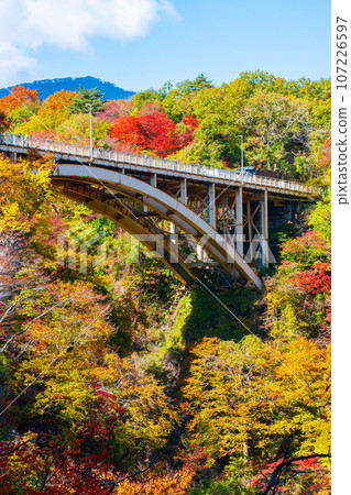 Naruko Gorge (autumn) 107226597